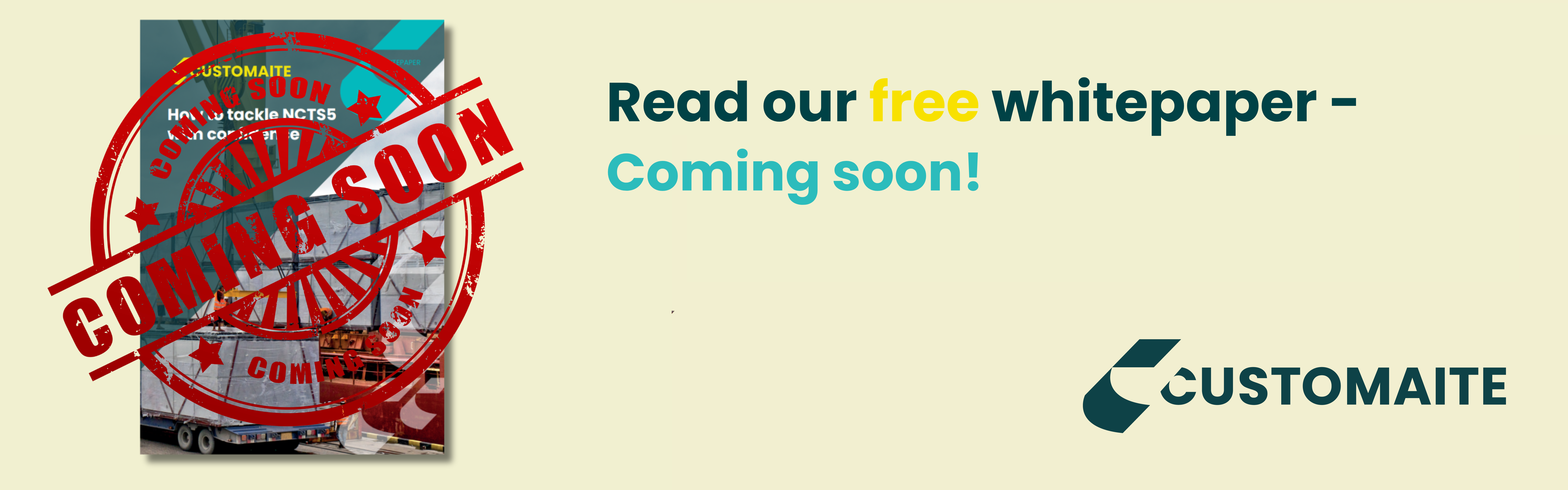 Customaite whitepaper