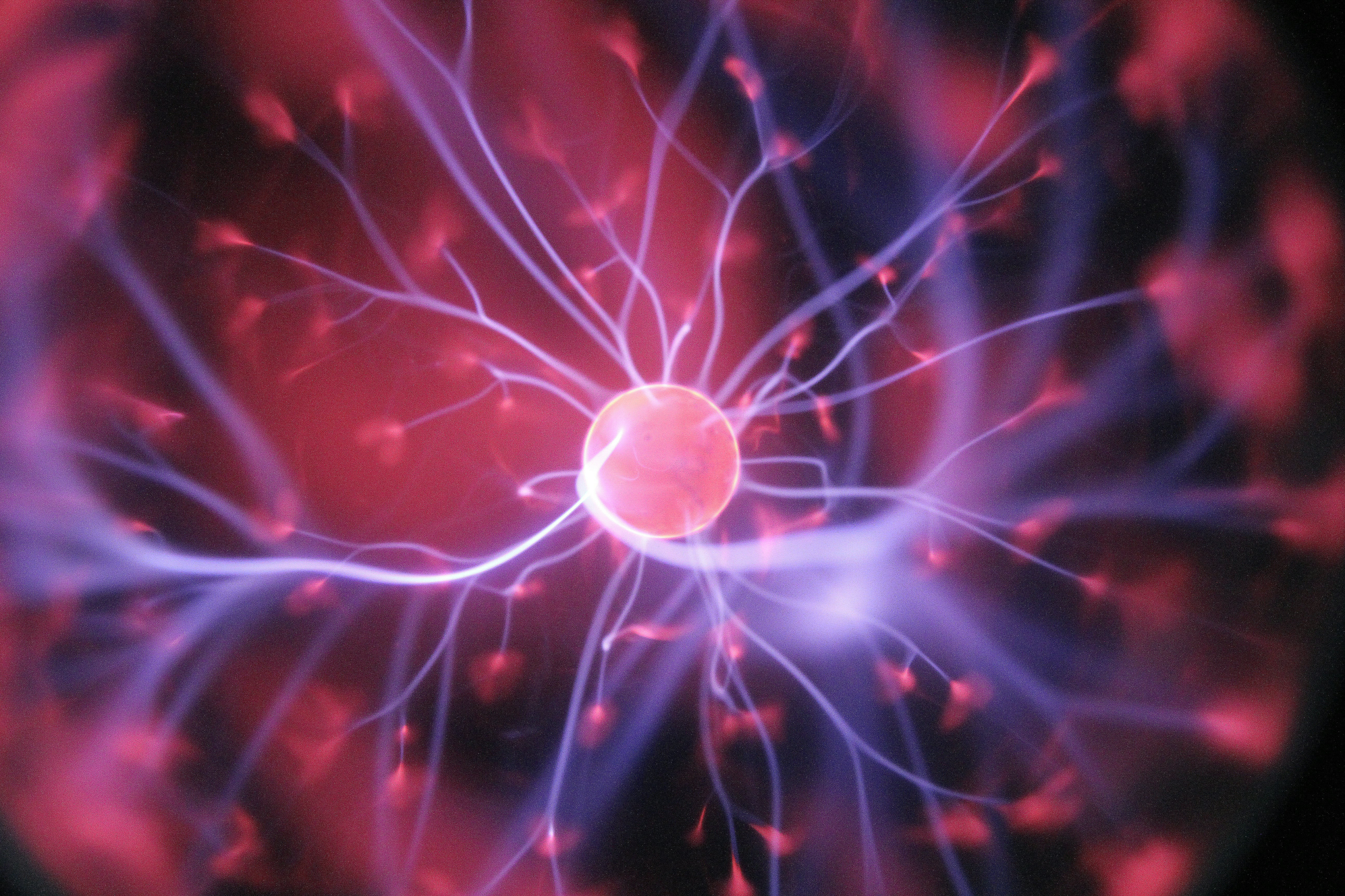 Nervous system